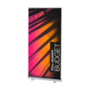Roll-up Budget