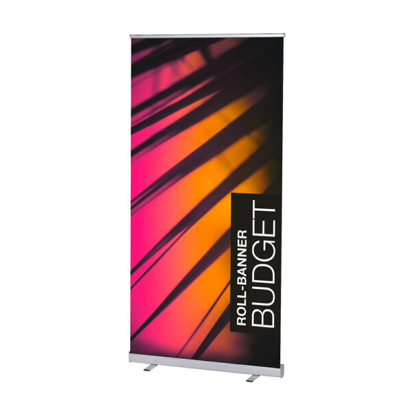 Roll-up Budget Roll-up Budget