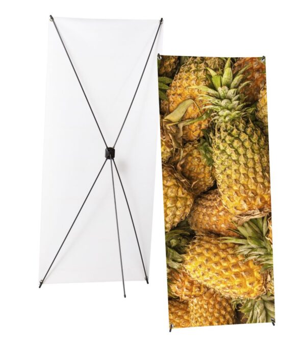 X-Banner Budget X-Banner Budget