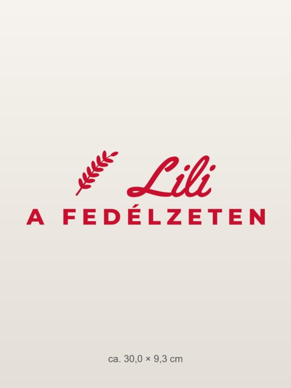 Autómatrica a fedélzeten – névvel – piros fólia világos fényezésen