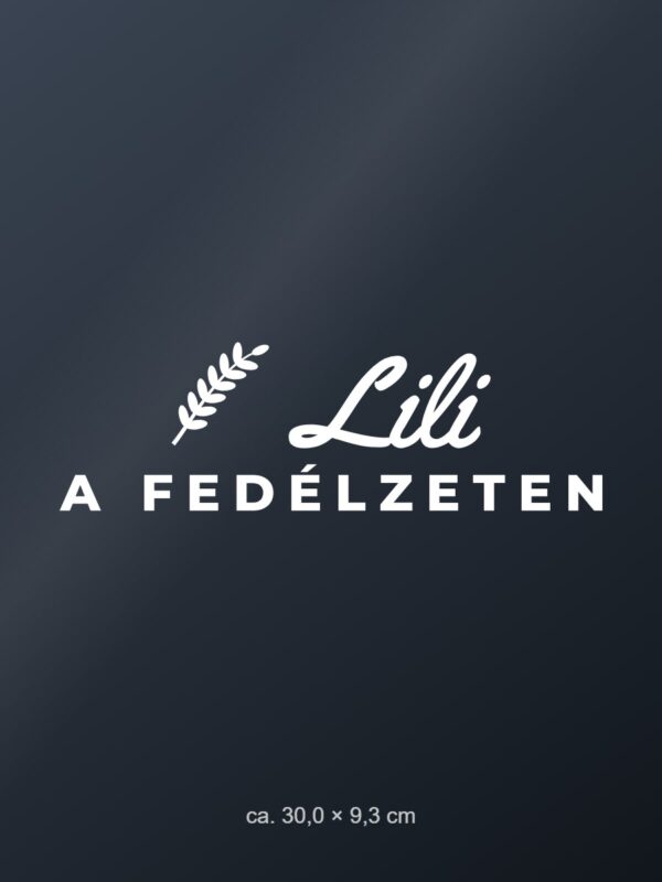 Autómatrica a fedélzeten – névvel – fehér fólia sötét üvegen