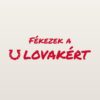 Autómatrica Fékezek a lovakért – piros fólia világos fényezésen