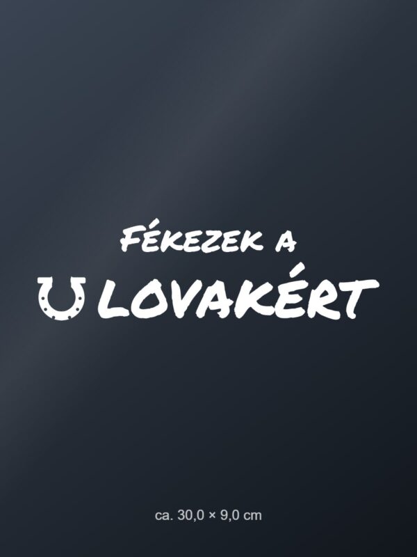 Autómatrica Fékezek a lovakért – fehér fólia sötét üvegen