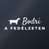Autómatrica Kutya a fedélzeten – névvel és fajtával – fehér fólia sötét üvegen