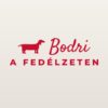 Autómatrica Kutya a fedélzeten – névvel és fajtával – piros fólia világos fényezésen