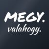Autómatrica Megy. Valahogy. – fehér fólia sötét üvegen Autómatrica Megy. Valahogy. – fehér fólia sötét üvegen