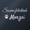 Autómatrica Sosem feledünk – kisállat névvel – fehér fólia sötét üvegen Autómatrica Sosem feledünk – kisállat névvel – fehér fólia sötét üvegen
