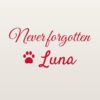 Car sticker “Never forgotten – pet with name”