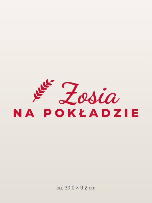 Naklejka na auto na pokładzie – z imieniem – czerwona folia na jasnym lakierze Naklejka na auto na pokładzie – z imieniem – czerwona folia na jasnym lakierze