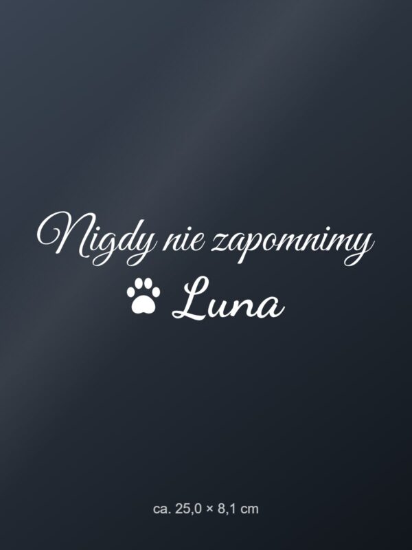 Naklejka na auto Nigdy nie zapomnimy – pupil z imieniem – biała folia na ciemnej szybie