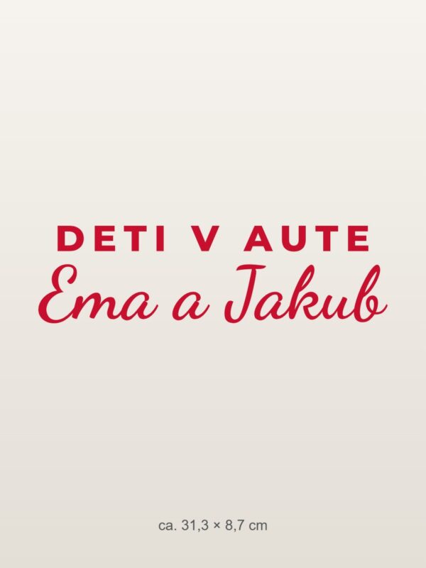 Nálepka na auto „Deti v aute – s menami“