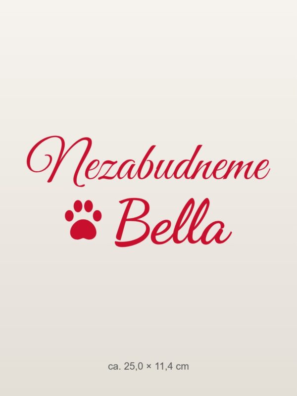Nálepka na auto „Nezabudneme – miláčik s menom“ Nálepka na auto „Nezabudneme – miláčik s menom“