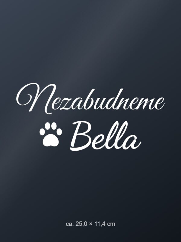 Nálepka na auto „Nezabudneme – miláčik s menom“