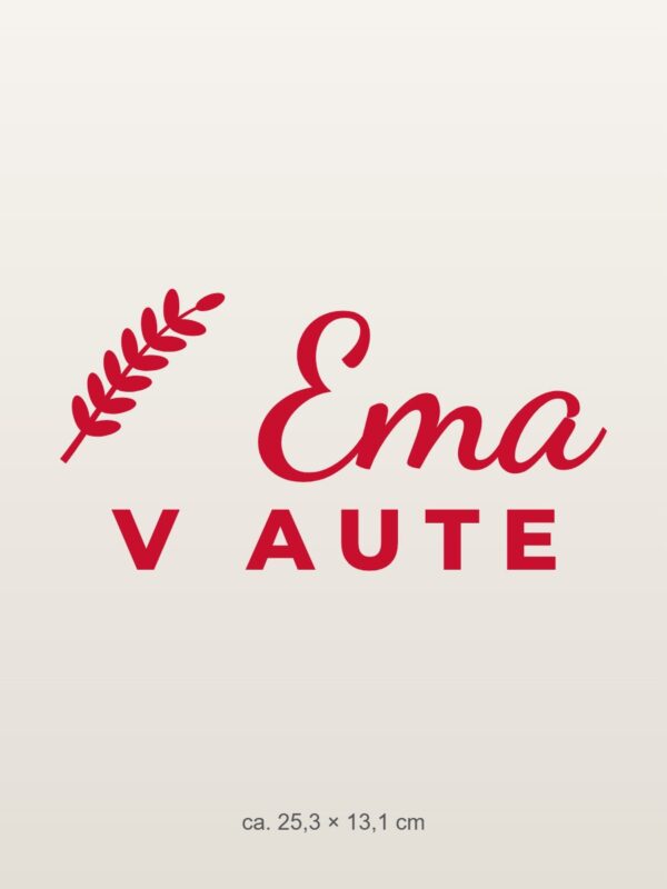 Nálepka na auto „[Meno] v aute – s menom“