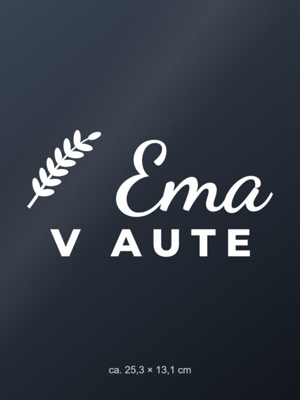 Nálepka na auto „[Meno] v aute – s menom“