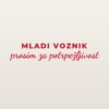 Nalepka za avto Mladi voznik – prosim za potrpežljivost – rdeča folija na svetlem laku Nalepka za avto Mladi voznik – prosim za potrpežljivost – rdeča folija na svetlem laku