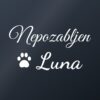 Nalepka za avto Nepozabljen – ljubljenček z imenom – bela folija na temnem steklu Nalepka za avto Nepozabljen – ljubljenček z imenom – bela folija na temnem steklu