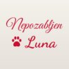 Nalepka za avto Nepozabljen – ljubljenček z imenom – rdeča folija na svetlem laku Nalepka za avto Nepozabljen – ljubljenček z imenom – rdeča folija na svetlem laku