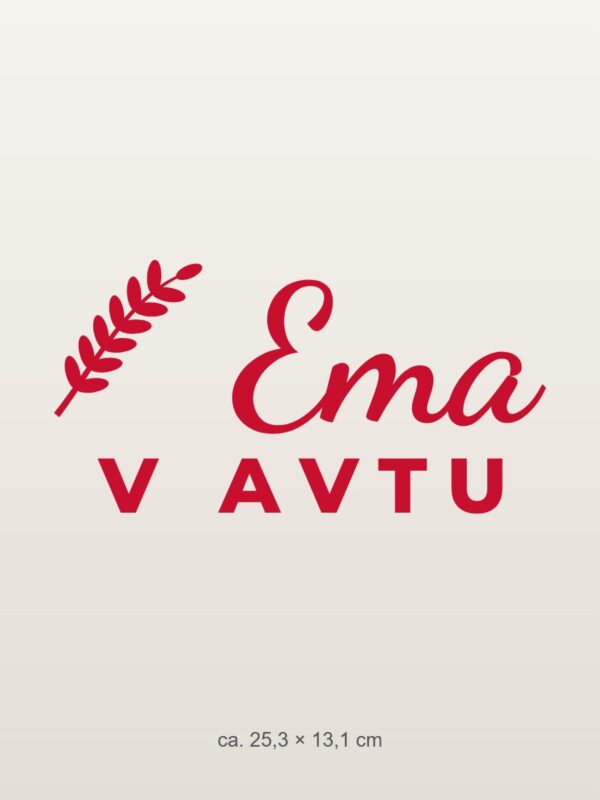 Nalepka za avto v avtu – z imenom – rdeča folija na svetlem laku Nalepka za avto v avtu – z imenom – rdeča folija na svetlem laku