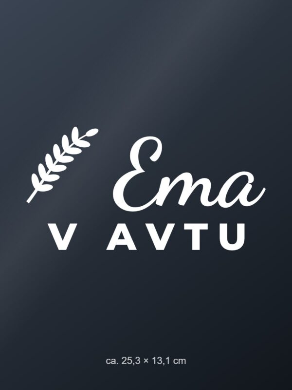 Nalepka za avto v avtu – z imenom – bela folija na temnem steklu Nalepka za avto v avtu – z imenom – bela folija na temnem steklu