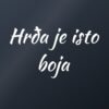 Naljepnica za auto Hrđa je isto boja – bijela folija na tamnom staklu Naljepnica za auto Hrđa je isto boja – bijela folija na tamnom staklu
