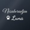 Naljepnica za auto Nezaboravljen – ljubimac s imenom – bijela folija na tamnom staklu