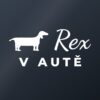Samolepka na auto „Pes v autě – se jménem a plemenem“ Samolepka na auto „Pes v autě – se jménem a plemenem“