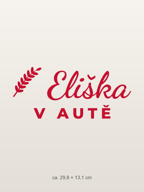 Samolepka na auto „[Jméno] v autě – se jménem“